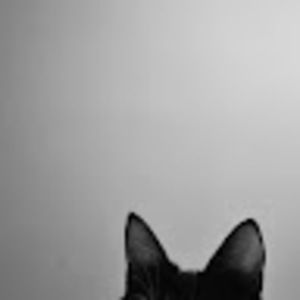 Meet your Posher, Ali